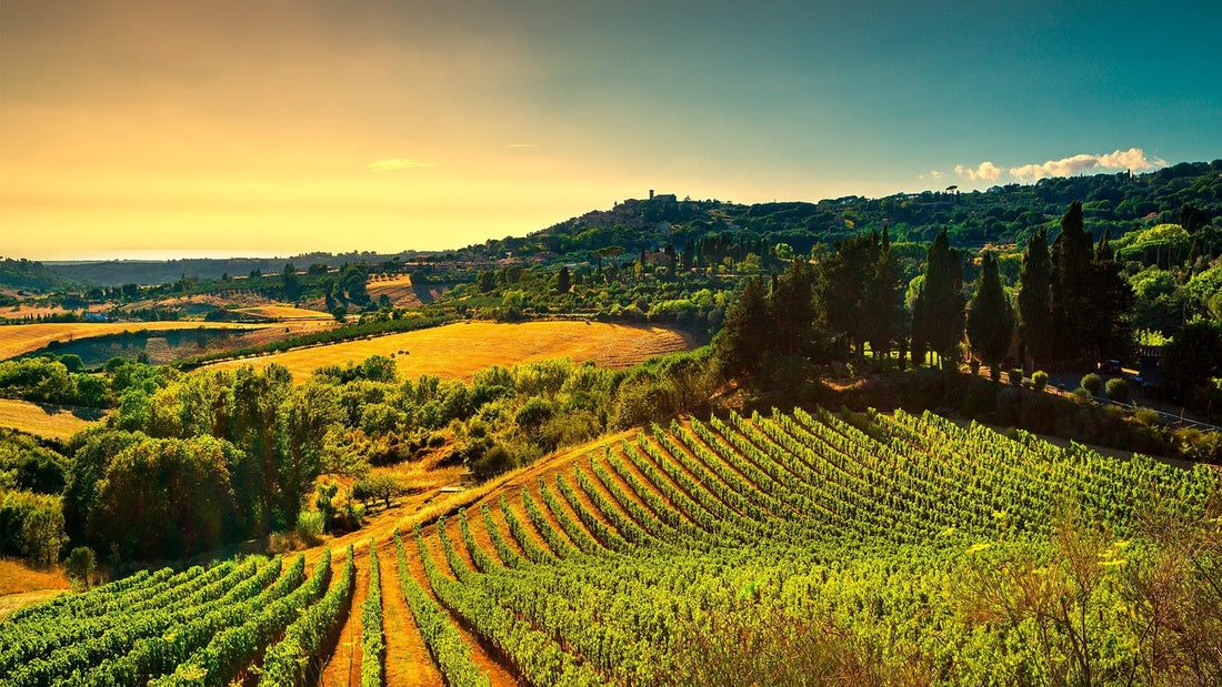 The Best Wineries in the United States - Newverest