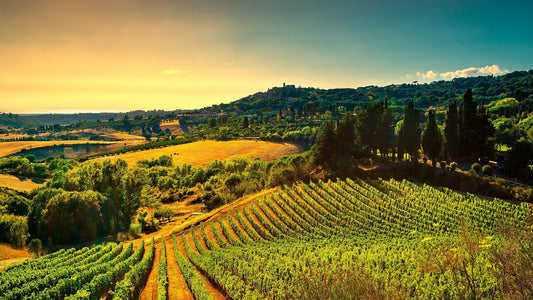 The Best Wineries in the United States - Newverest