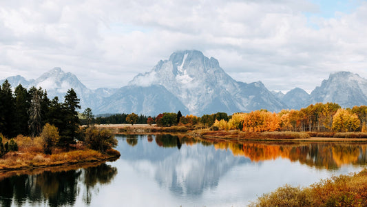 15 Fascinating Fun Facts About US National Parks - Newverest