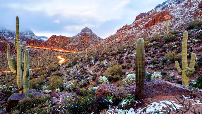 10 Best U.S. National Parks to Visit This Winter