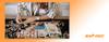 Ultimate Puzzle Mat Buying Guide: Find the Perfect Fit for Your Puzzle Passion!