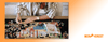 Ultimate Puzzle Mat Buying Guide: Find the Perfect Fit for Your Puzzle Passion!